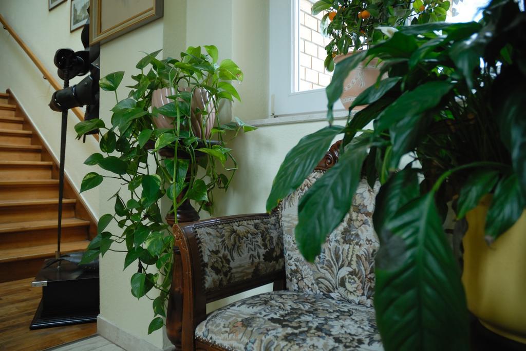 Haus "Beuth" Apartment บัดเอลสเตอร์ ภายนอก รูปภาพ